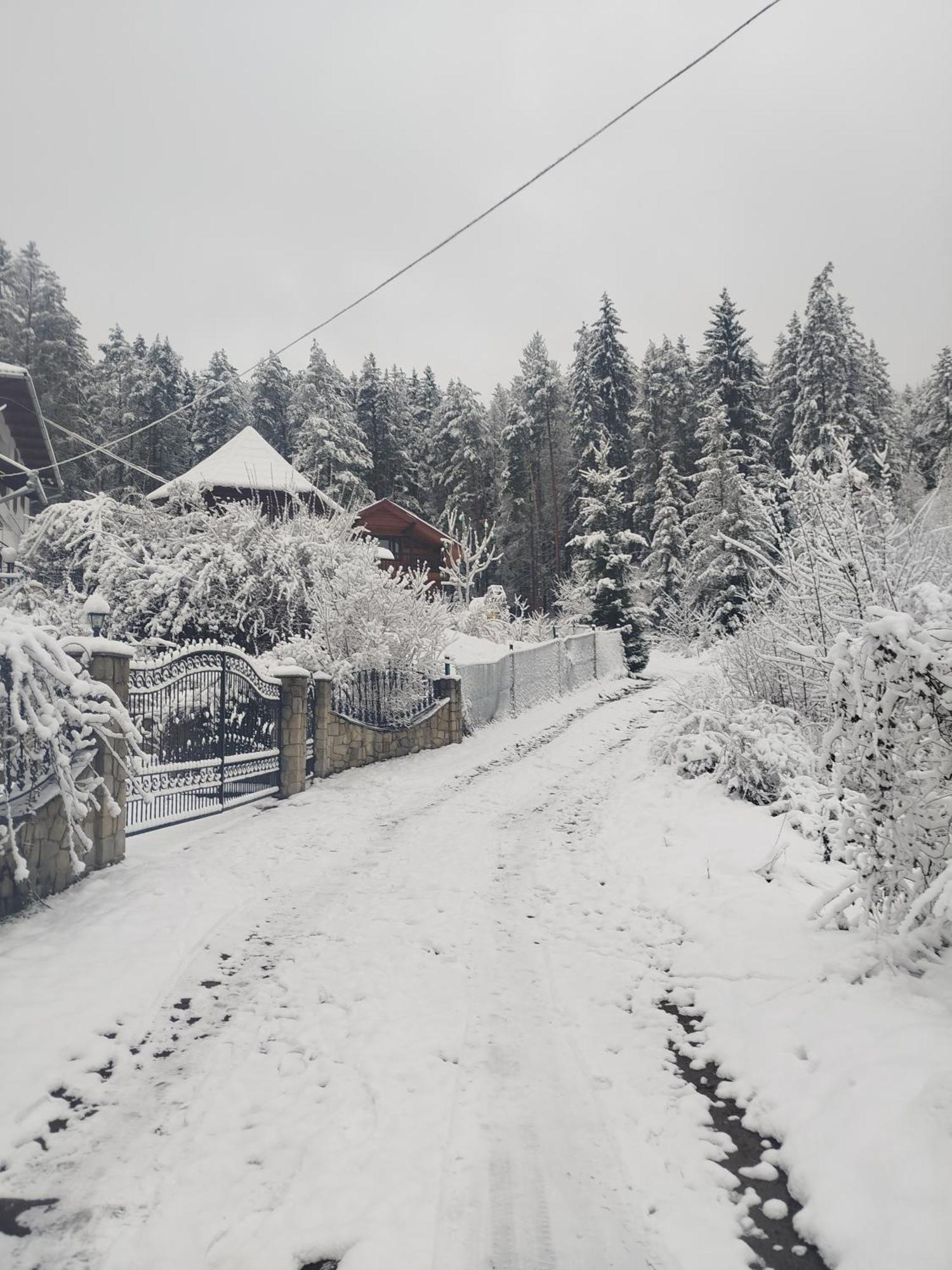 Villa Лісова Казка à Yaremtche Extérieur photo